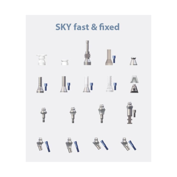 SKY fast & fixed and screw retained bridge abutment