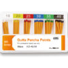 Standard Gutta Percha Points Endo | UDG - Image 2