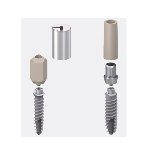 mini2SKY Individual abutments – analogue and digital